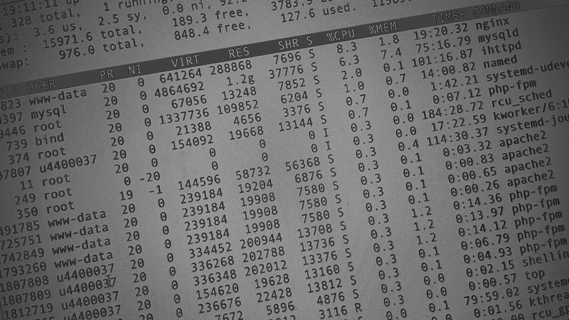 Настройка сервера в Дмитровске