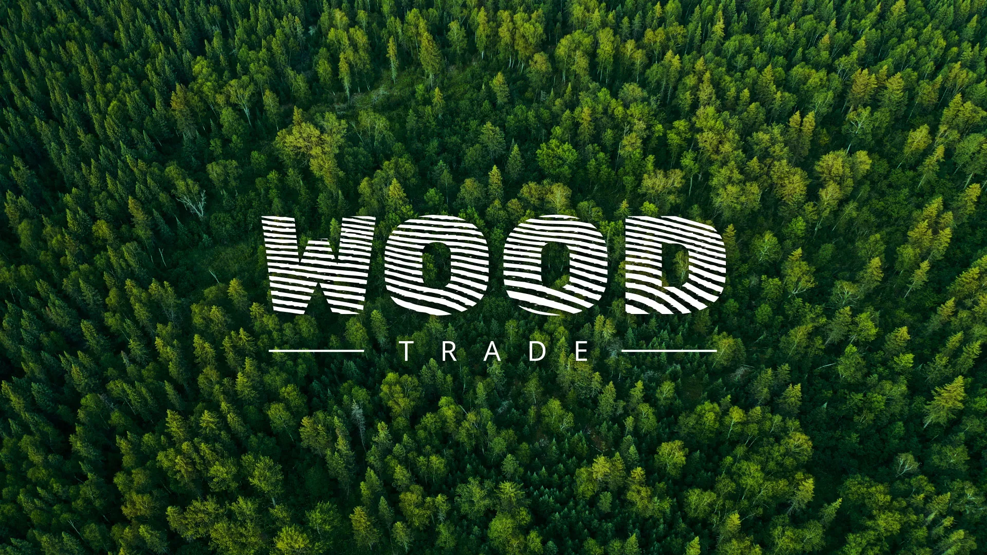 Разработка интернет-магазина компании «Wood Trade» в Дмитровске